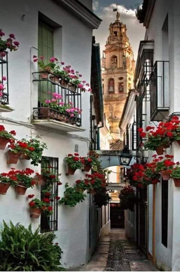 Apartamento con BBQ. H de la Reina Kordoba Bagian luar foto